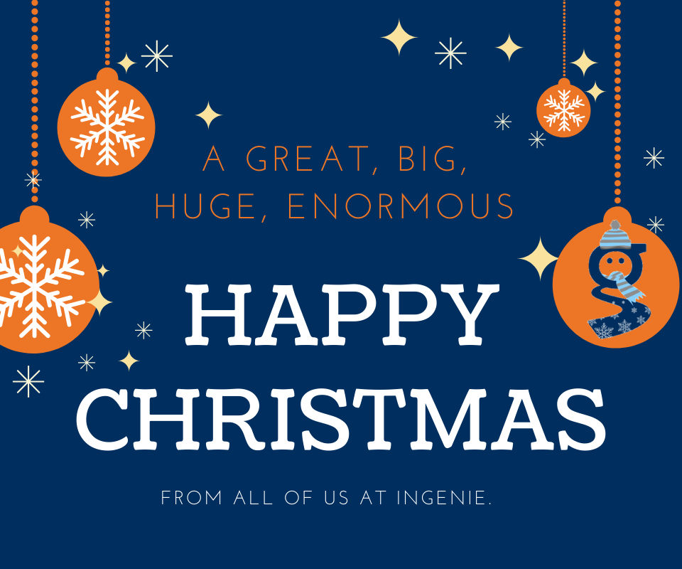 A very happy Christmas to our ingenie family