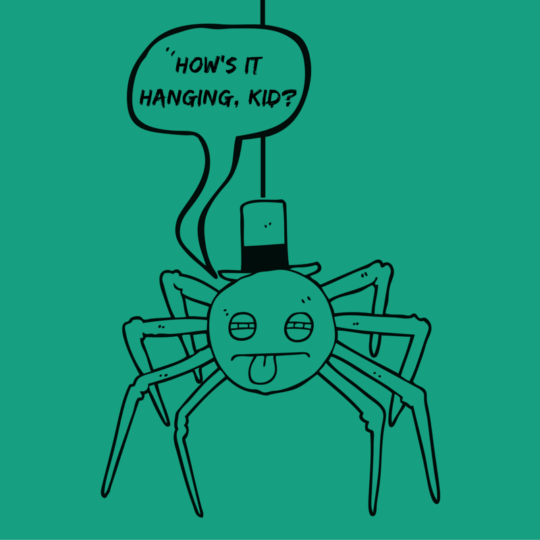 Cool spider